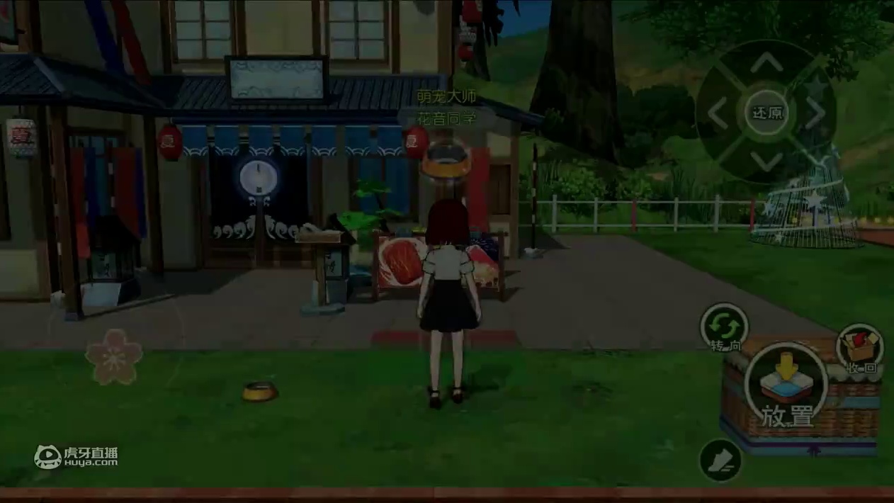 铲屎官必看！