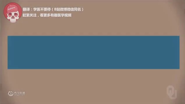 Human Physiology(51)：动作电位的离子基础（part1）