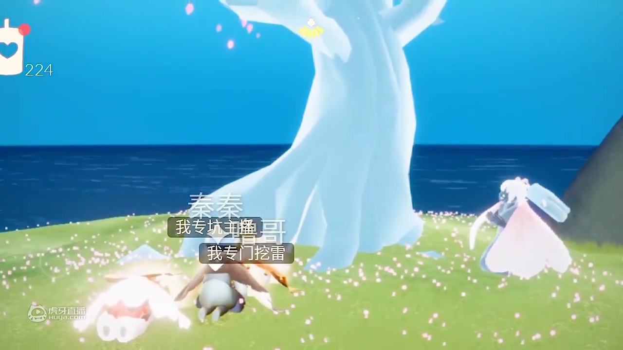 光遇历险记：侦探和九秦噜哥结拜樱花三兄弟！谁来当大哥？