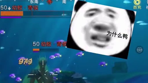 妄想山海：一次爆五个魂，野生鲛人这么富？