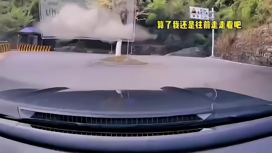 谁能想到路标是树啊！