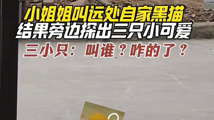 猫咪：人，你叫我吗？#猫咪的迷惑行为 #猫咪