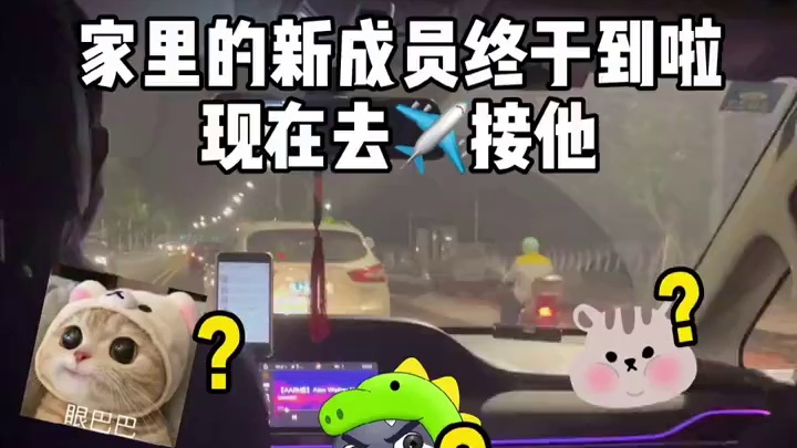 我的小马终于到啦！！#小左小飞