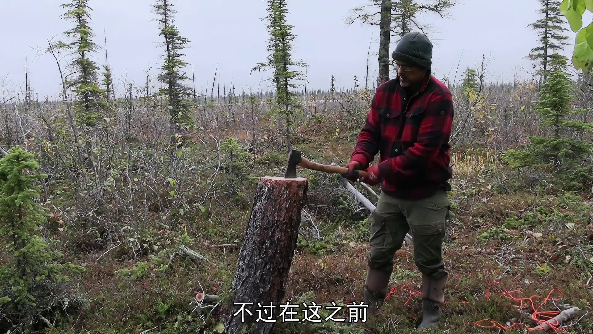 荒野独居第十三季04：狩猎海狸，大神退赛