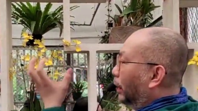 广州兰圃撸猫，钳子专业考察日记，嘿嘿嘿嘿嘿嘿嘿嘿嘿嘿