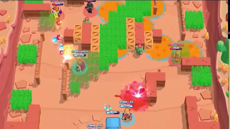 STMN  VS  TRIBE