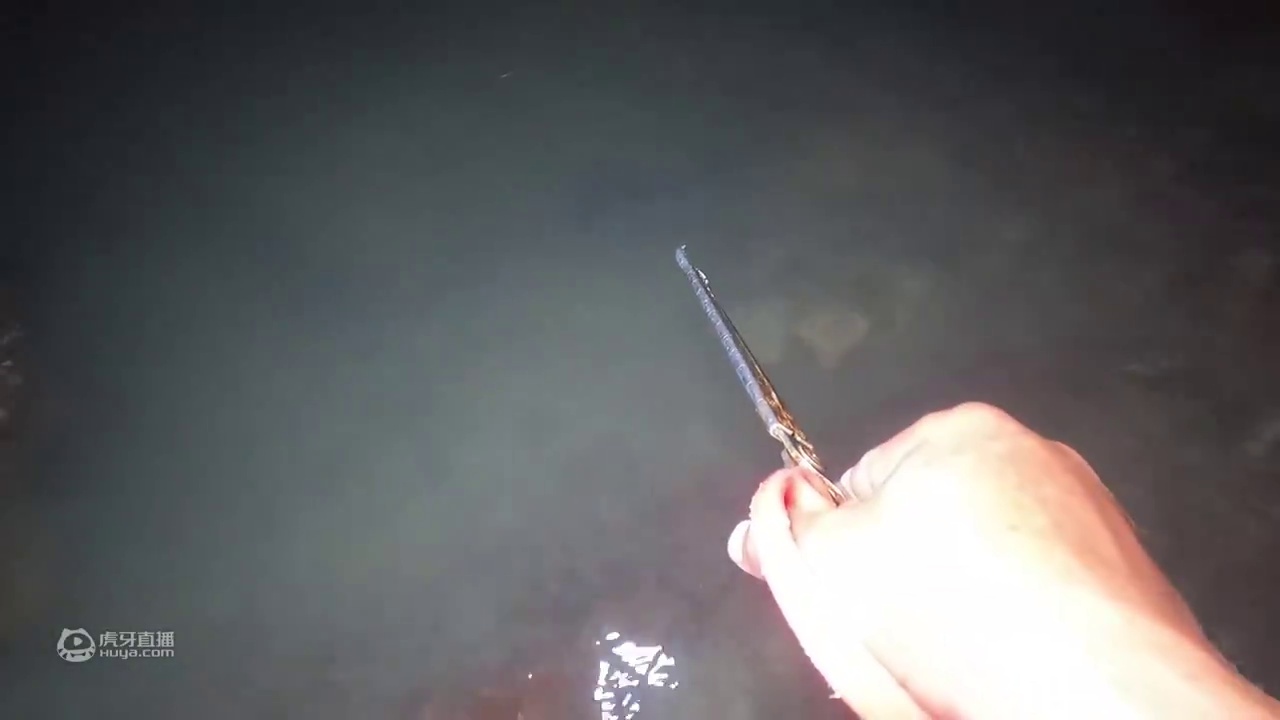 阿彬不过节熬夜赶海，竟撞上怪异螃蟹吃“夜宵”，抱两只在手里啃