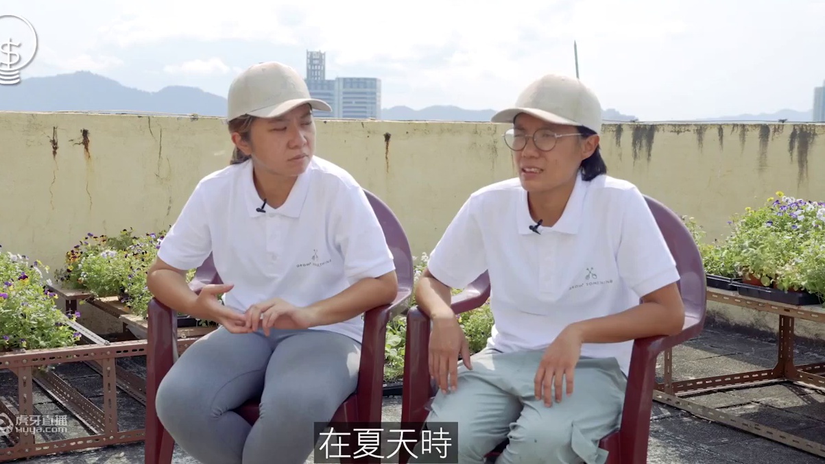 两港女变身另类闹市农夫，开“种植万事屋”种菜