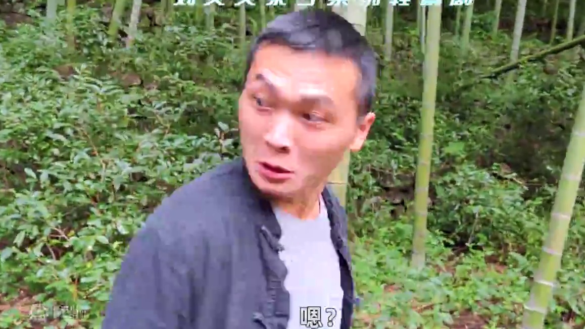故事：千年鸡王拦路打劫，以为四岁小孩好欺负，不料这次遇上硬茬