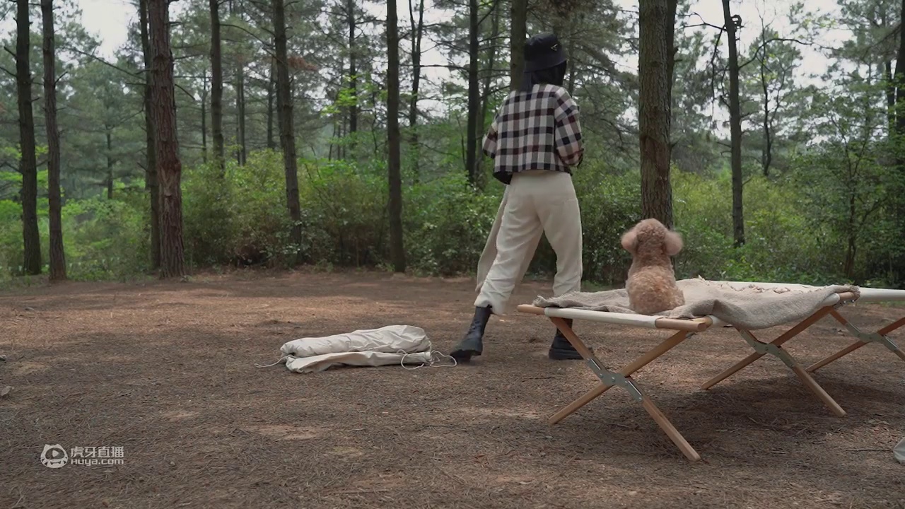 【Milky's Vlog#04.】治愈系露营|露营美食|抓住春日尾巴的青团子|野欢原松树林|妈妈的