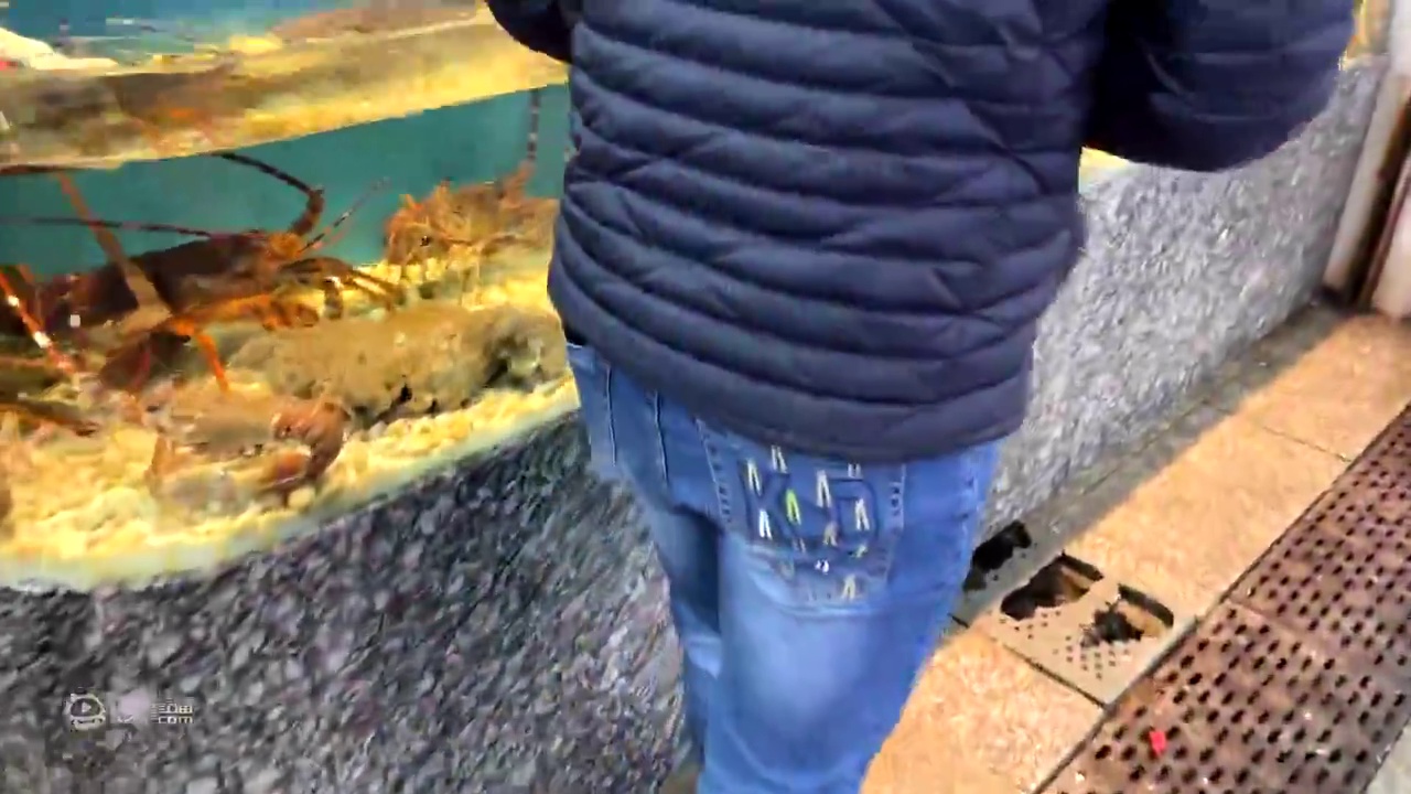试吃非常罕见的正龙虾，刺身极品，做龙虾咖喱面绝了