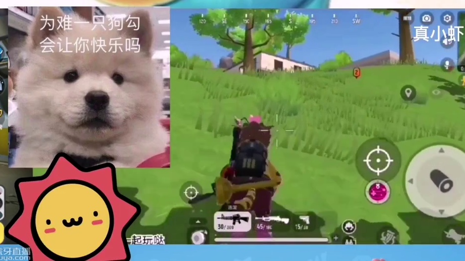 我发布了一个新视频，快来围观吧！