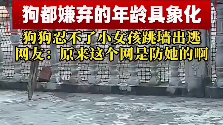 人类幼崽太可怕了，连狗都嫌弃具象化了！ #养宠人的治愈谁懂啊  #宠物成精了  #狗狗成精了