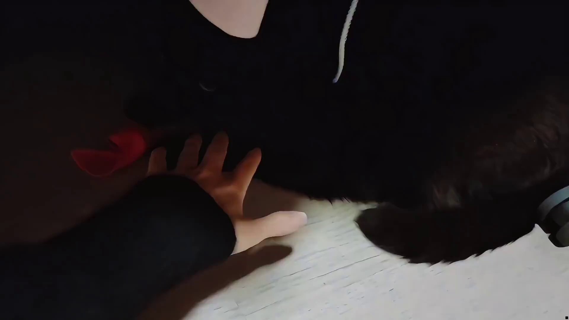 沫子蹲着撸猫，不料起身时大意了，这到底是黑猫还是白猫