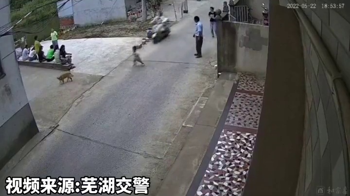 同责！幼童突然飞奔横穿马路，电动车疏于观察将其撞倒。 #守法规知礼让 #知危险平安行