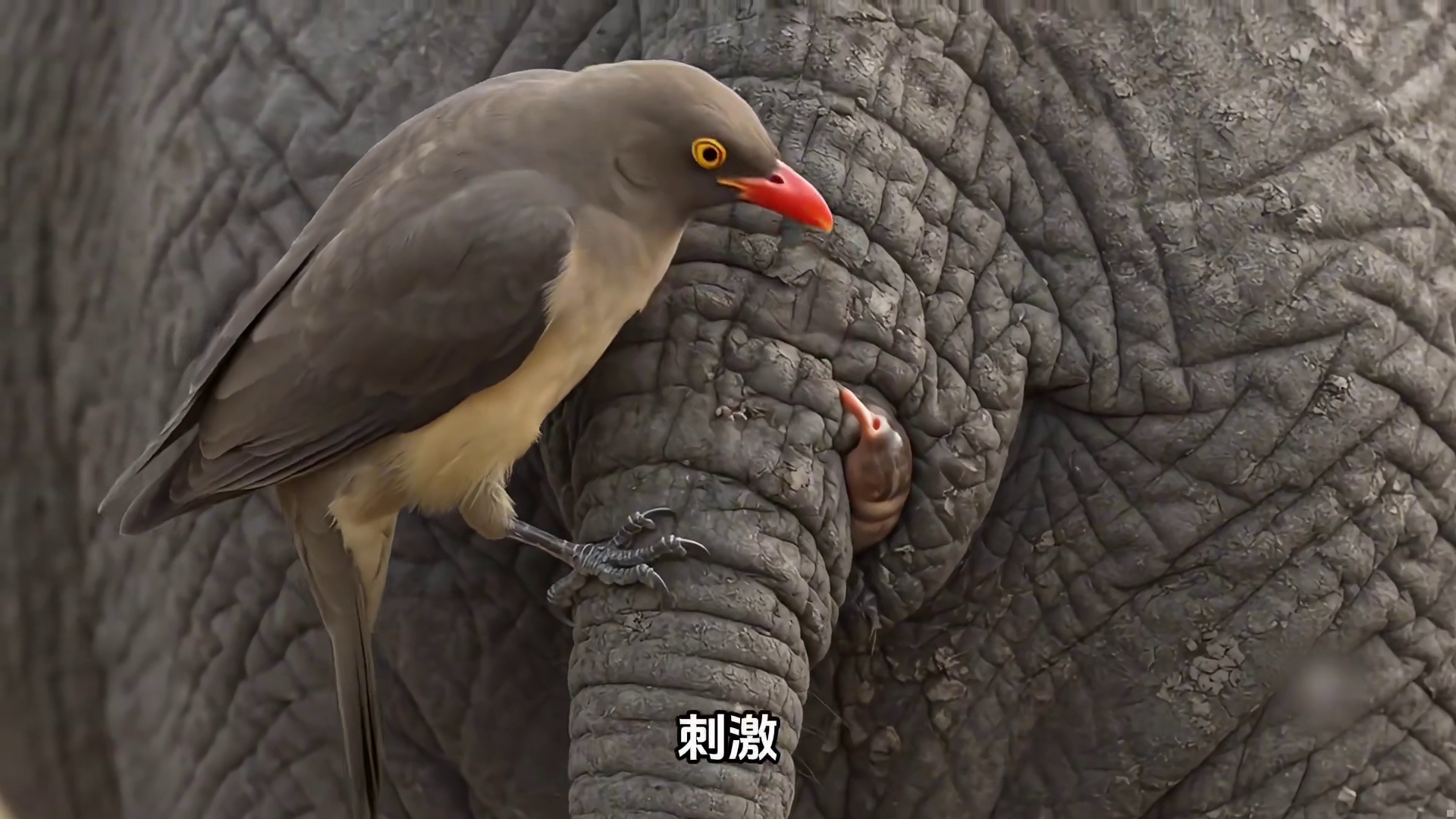 震惊，皮肤里藏着什么可怕的东西