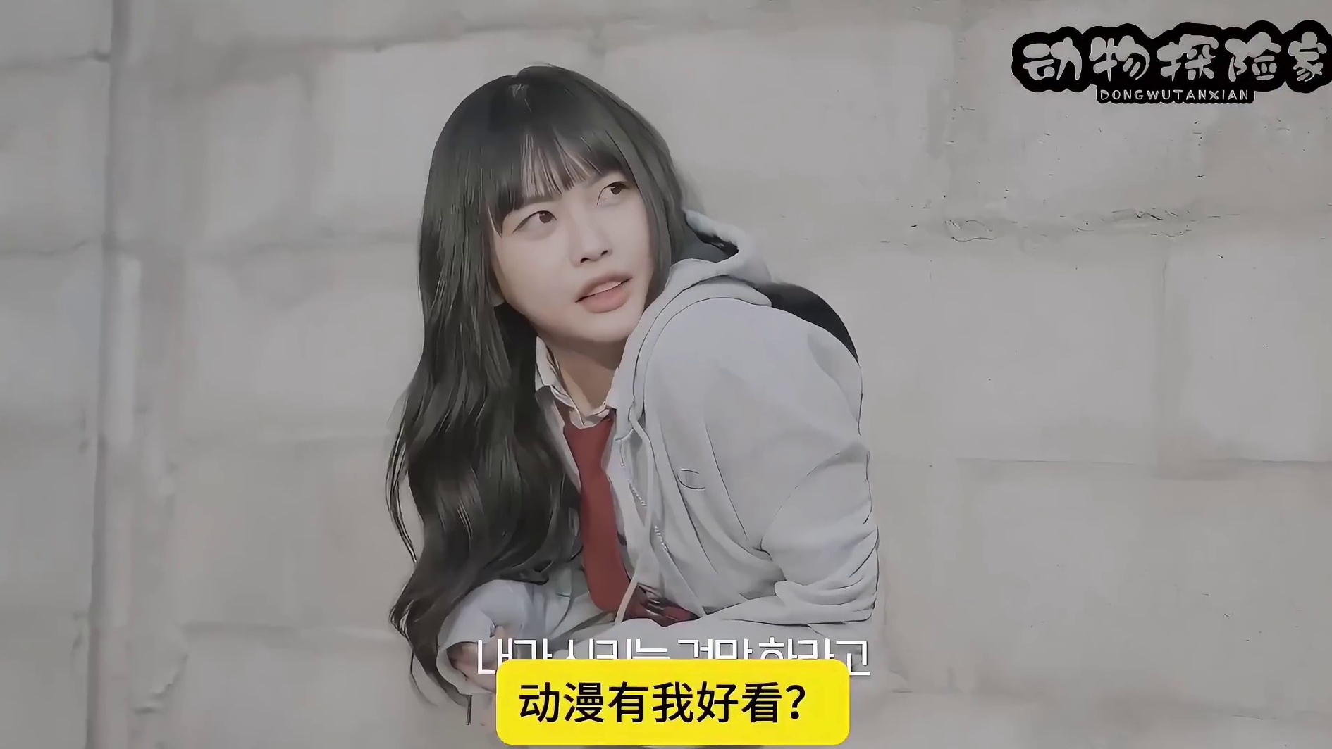 这剧情动漫里没有吗