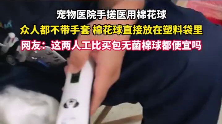 宠物医院手搓医用棉花球，众人都不带手套 棉花球直接放在塑料袋里。1网友吃饭时偶遇胡先煦 身着花衬衫