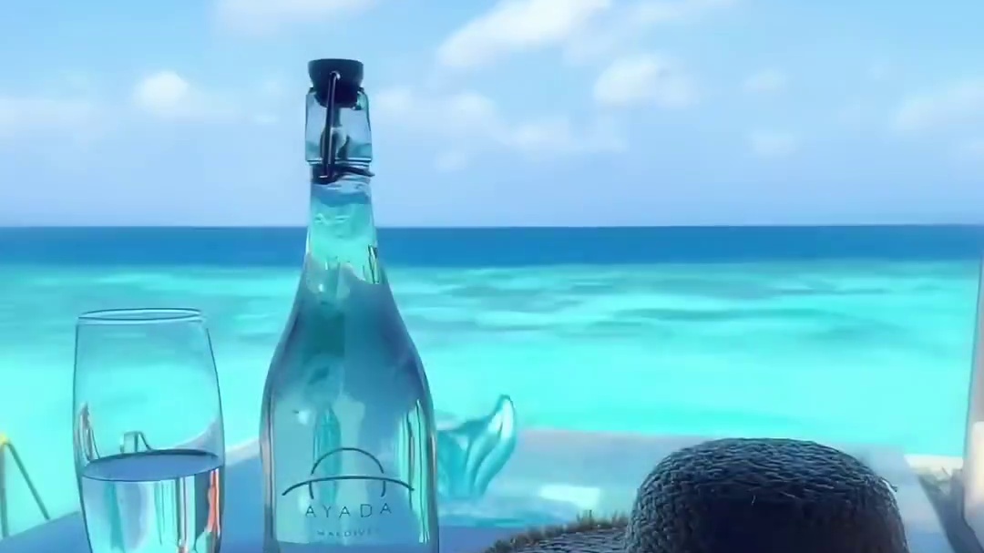 海海海