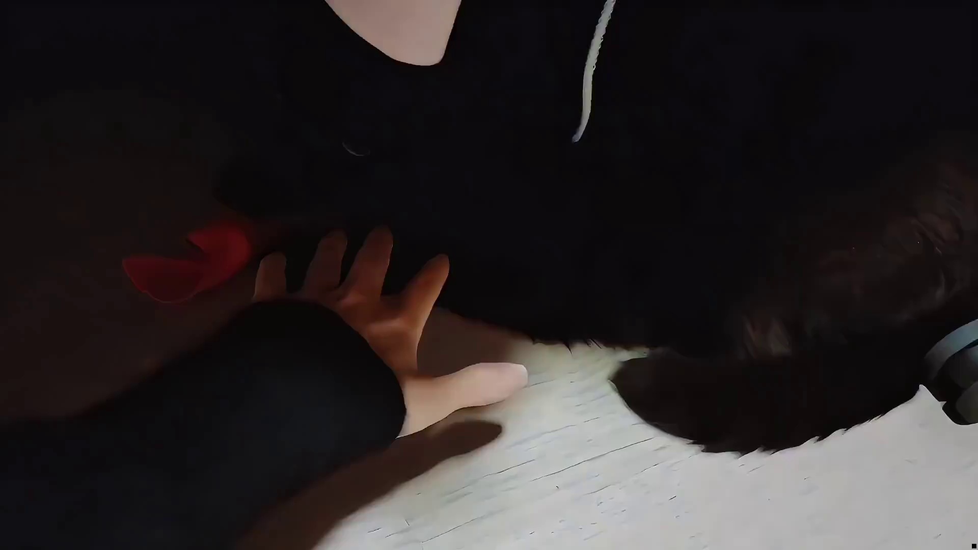 沫子蹲着撸猫，不料起身时大意了，这到底是黑猫还是白猫