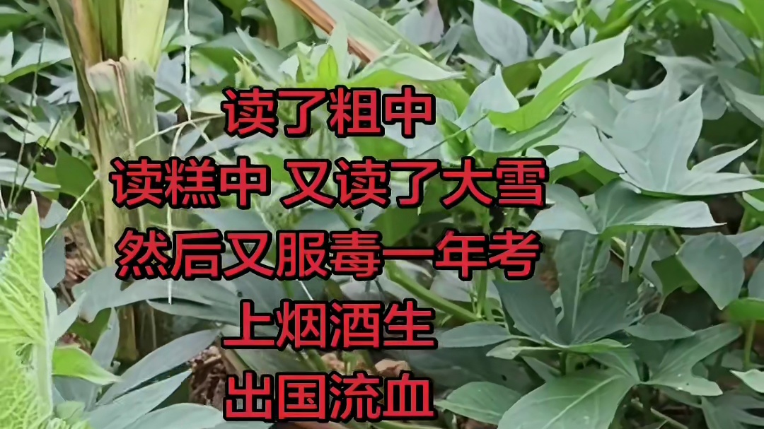 读了粗中读糕中，又读了大雪，醉后还是搞农业，你们搞什么？