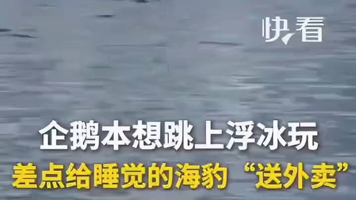 小可爱们 连滚带爬的跑了