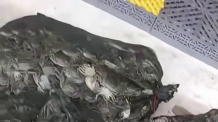河蟹大量上市