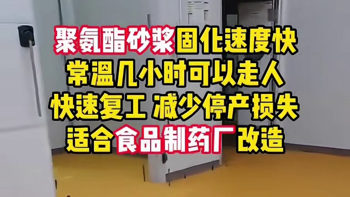 食品制药厂聚氨酯砂浆