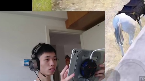 聊想去自己跑矿场的想法