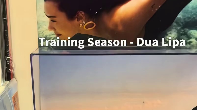 Training Season - Dua Lipa 听说是最近重新火起来的显化神曲
啪姐人生我接了
来自Radical Optimism 湖蓝胶