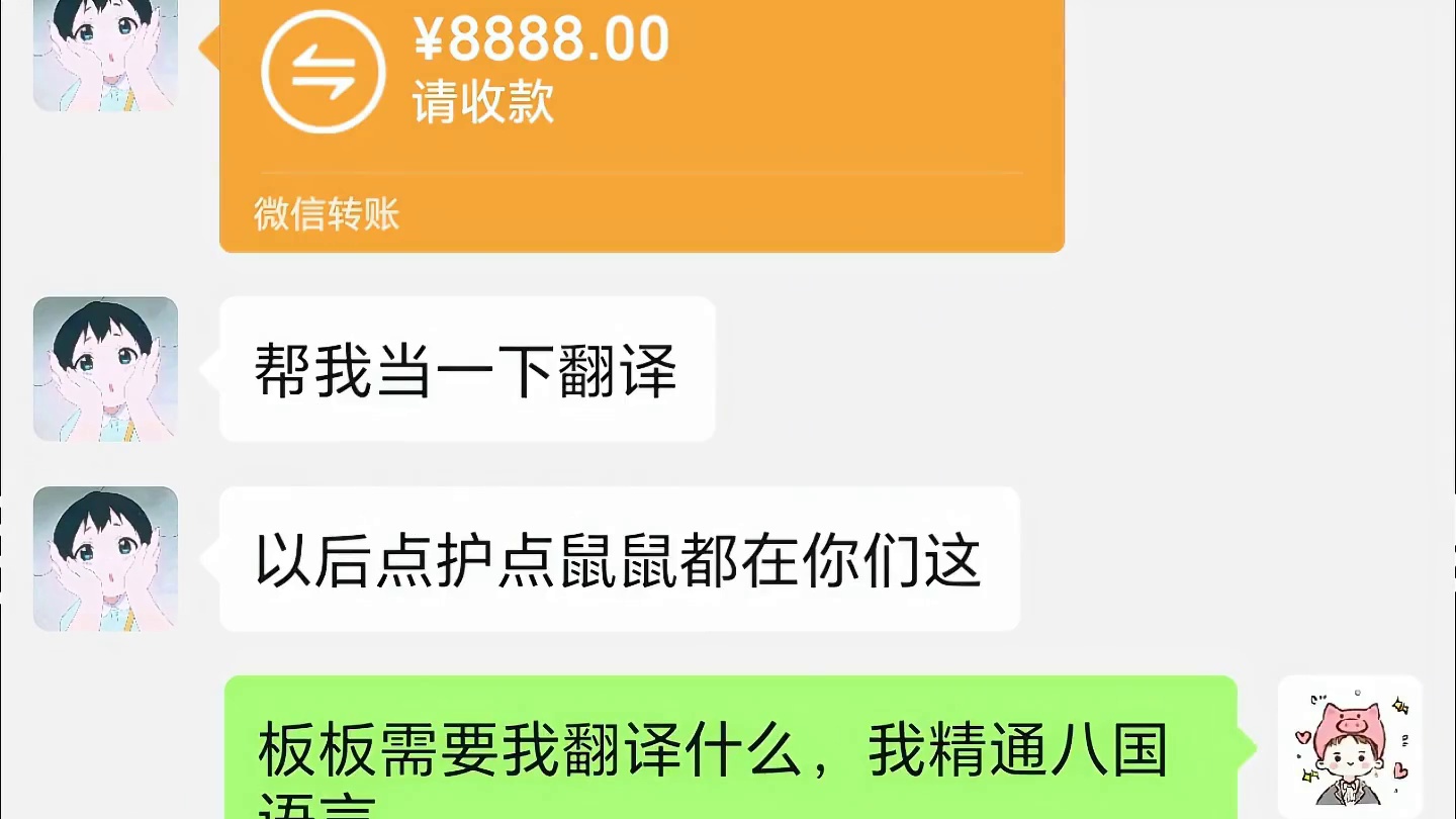 这到底是什么意思啊!