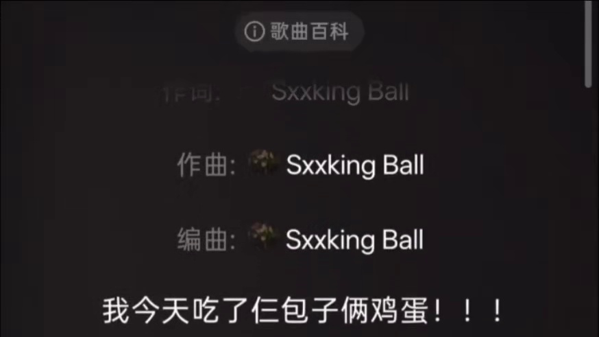 这才是真正的音乐（王者）