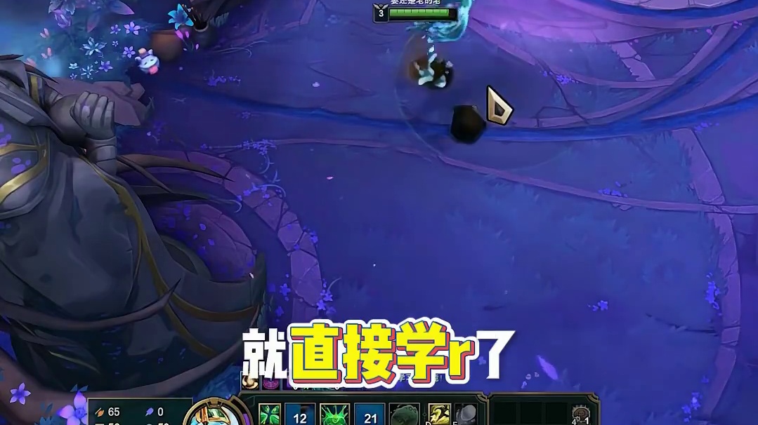 海斗必开设置：动态视角自动找英雄，文本详情设置，快 速学习设置# 英雄联盟