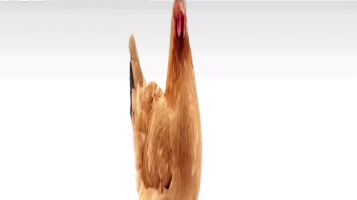 王者薄ji