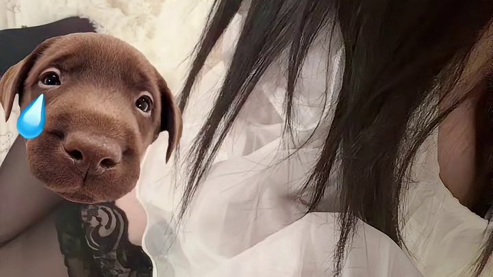 真诚不应该是必杀技吗？为什么却成了杀手锏
