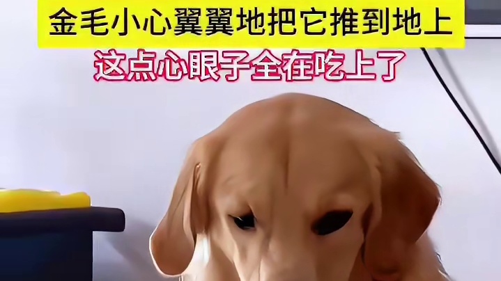 它可太有心眼了