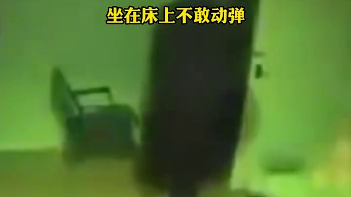 伦敦四名男子入室盗窃，83岁老太眼睁睁看着自家被偷，坐在床上不敢动弹1