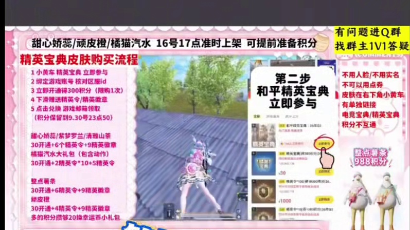 精英宝典超详细购买流程
