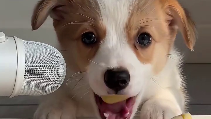 。