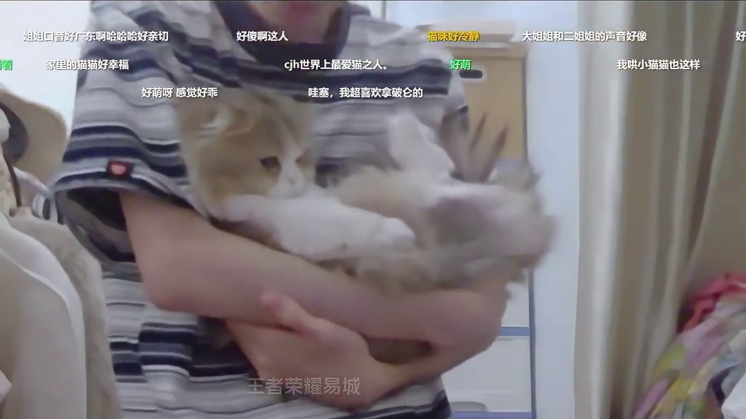 萝卜哄小喵咪的样子实在是太可爱了吧