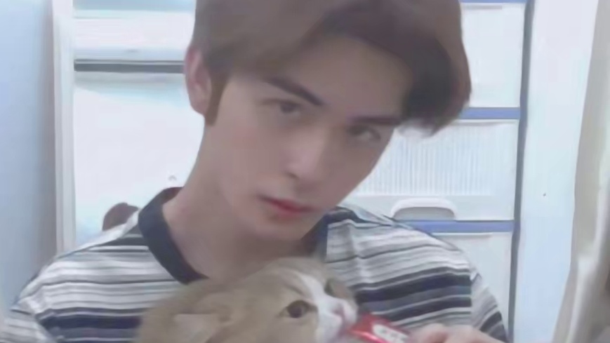 广州TTG萝卜喂小猫咪吃猫条动静居然这么大？