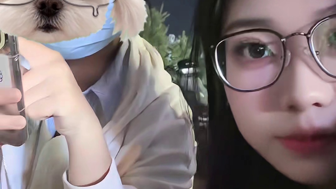 人生总是淡淡脆脆的，也许我是片海苔