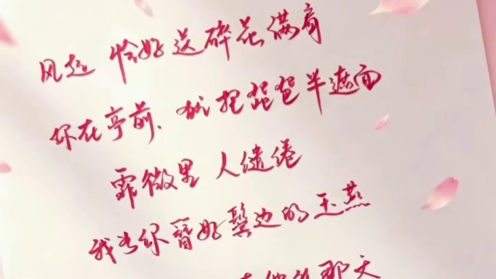 小乔妹妹