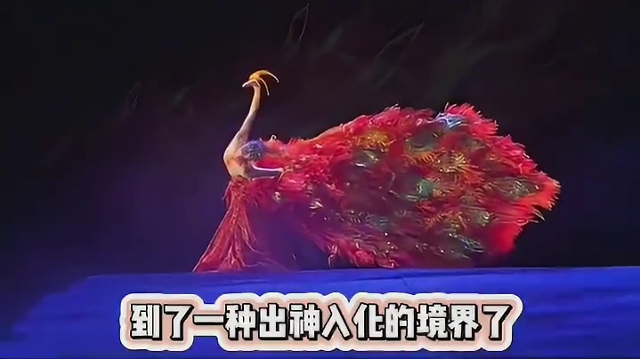 第一眼看成真孔雀了，感觉杨丽萍对孔雀舞已经到出神入化的境界了