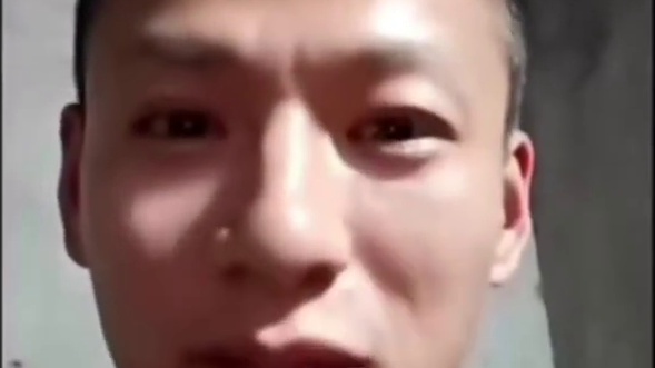 慌狗～回归