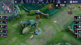 佛山DRG VS 重慶狼隊(duì)