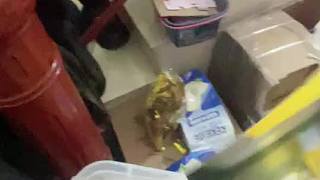 沉浸體驗(yàn)長(zhǎng)生第一視角(無(wú)聲)