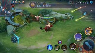 體驗職業(yè)選手的一天