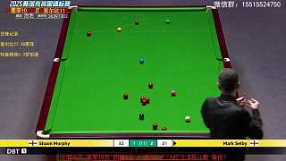 直播 塞爾比VS墨菲 英錦賽半決賽