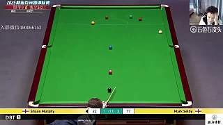 直播 塞爾比VS墨菲